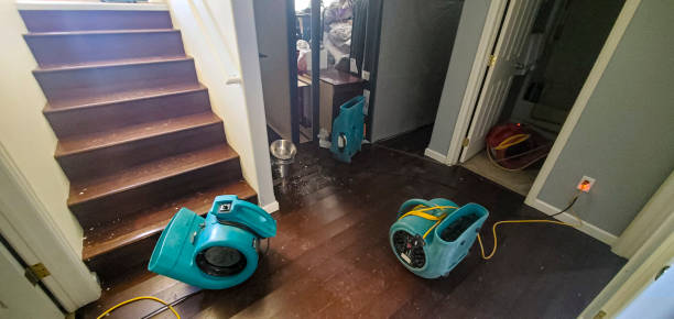 Best Ceiling water damage repair  in Bulverde, TX