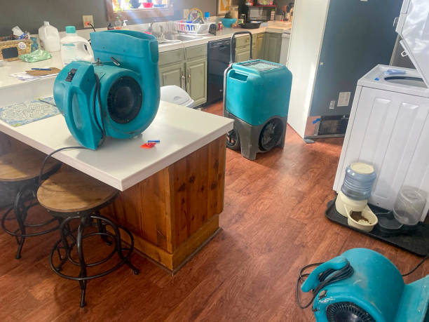Reliable Bulverde, TX Water damage restoration Solutions