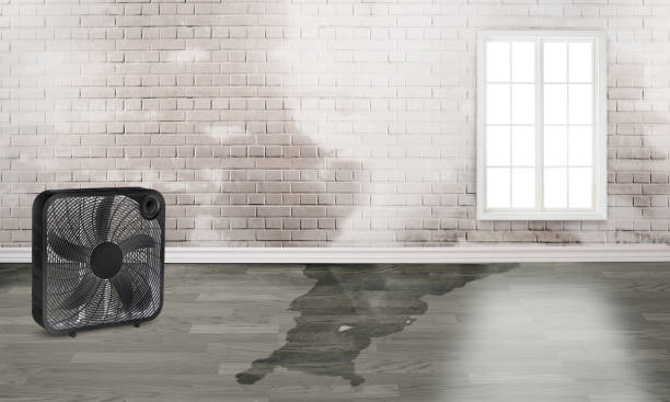 Best Water damage restoration near me  in Bulverde, TX