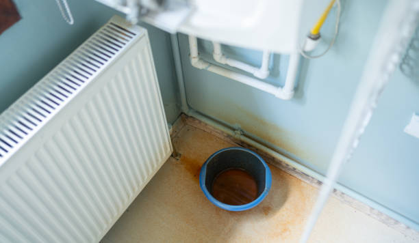  Bulverde, TX Water damage restoration Pros