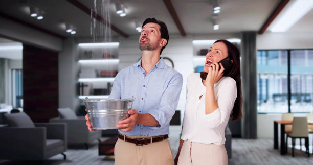Best 24/7 water damage repair  in Bulverde, TX