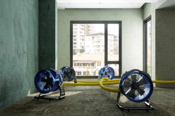 Best Residential water damage restoration  in Bulverde, TX